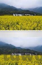 91麻豆传媒app下载-揭秘91麻豆传媒——APP下载的多样性与注意事项