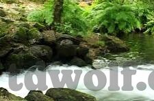 av日韩国产麻豆网站-多彩网络文化，日韩网络内容及其背后的社会现象