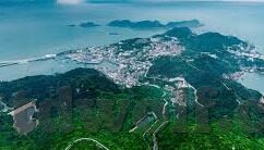 大象传媒下载免费安装-免费畅享大象传媒，下载与安装的便捷之旅