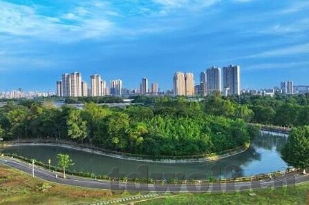 国产AV麻豆阿宾篇章八-国产影坛新秀，麻豆阿宾篇章八——书写独家记忆的精彩