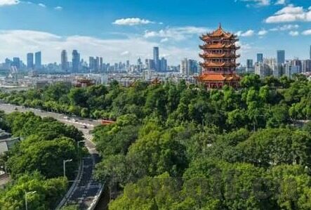http:麻豆视频.com-多元视角下的网络文化现象与平台分析——麻豆视频的个案研究